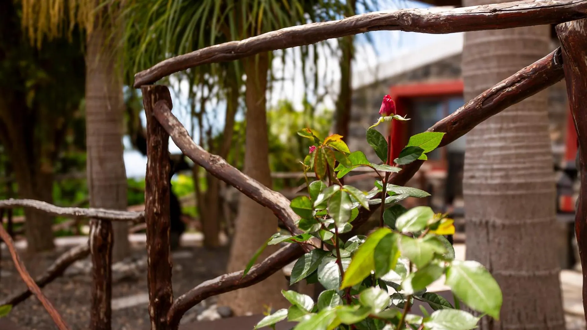 Сasa de vacaciones Villa Refúgio do Lourinho Funchal
